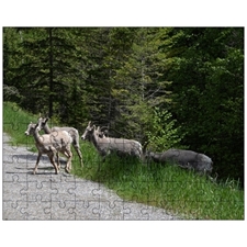 Jigsaw Puzzles 10