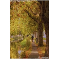 Traditional Jigsaw Puzzles
