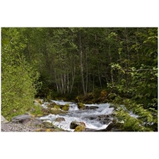 Traditional Jigsaw Puzzles