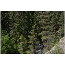 Traditional Jigsaw Puzzles