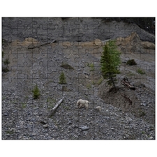 Jigsaw Puzzles 10