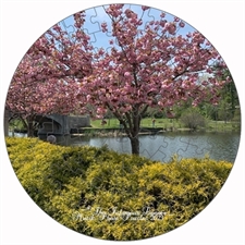 Round Puzzles