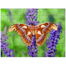 Traditional Jigsaw Puzzles