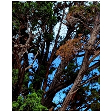 Jigsaw Puzzles 10