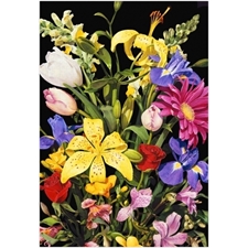 Traditional Jigsaw Puzzles