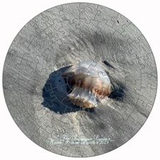 Round Puzzles