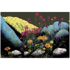 Traditional Jigsaw Puzzles