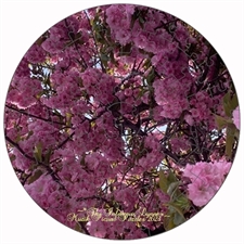 Round Puzzles