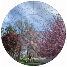 Round Puzzles