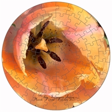 Round Puzzles