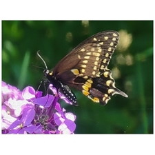 Traditional Jigsaw Puzzles
