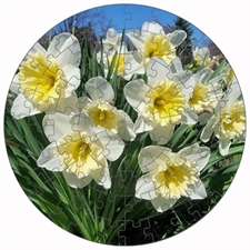 Round Puzzles