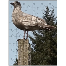 Traditional Jigsaw Puzzles