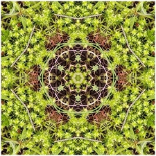 Traditional Jigsaw Puzzles