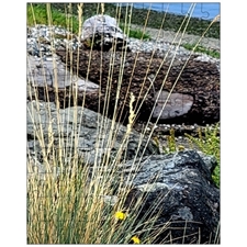 Jigsaw Puzzles 10