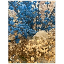 Traditional Jigsaw Puzzles
