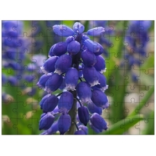 Traditional Jigsaw Puzzles