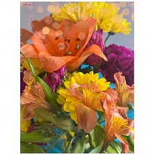 Traditional Jigsaw Puzzles