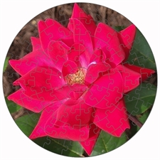 Round Puzzles