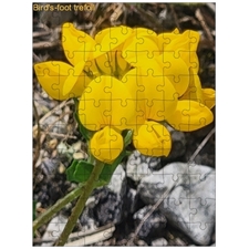 Traditional Jigsaw Puzzles