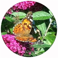 Round Puzzles