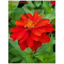 Traditional Jigsaw Puzzles