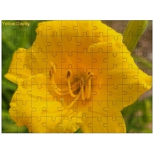 Traditional Jigsaw Puzzles