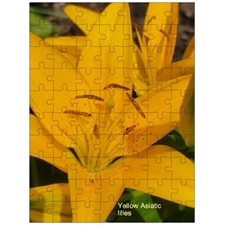 Traditional Jigsaw Puzzles