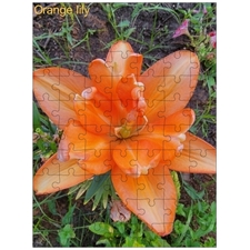 Traditional Jigsaw Puzzles