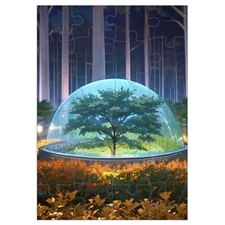 Invitation Puzzles