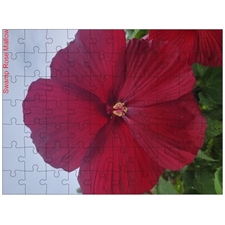 Traditional Jigsaw Puzzles