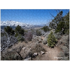 Traditional Jigsaw Puzzles