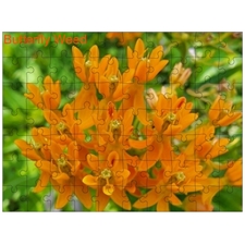 Traditional Jigsaw Puzzles