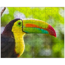 Jigsaw Puzzles 10