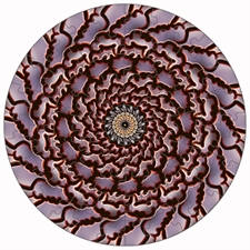 Round Puzzles