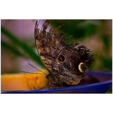 Traditional Jigsaw Puzzles
