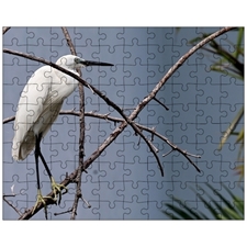 Jigsaw Puzzles 10