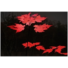 Traditional Jigsaw Puzzles