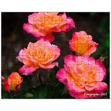 Jigsaw Puzzles 10