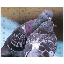 Jigsaw Puzzles 10