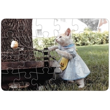 Puzzle Plastic