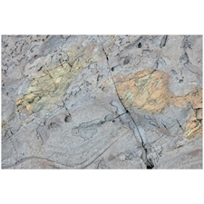 Traditional Jigsaw Puzzles