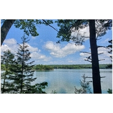 Traditional Jigsaw Puzzles