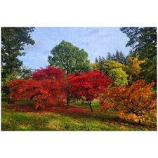 Traditional Jigsaw Puzzles
