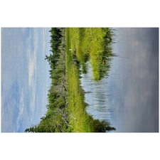 Traditional Jigsaw Puzzles