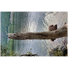 Traditional Jigsaw Puzzles