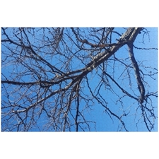 Traditional Jigsaw Puzzles