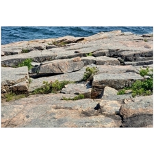 Traditional Jigsaw Puzzles