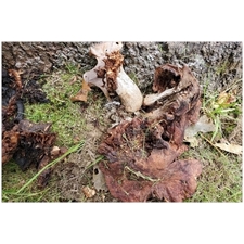 Traditional Jigsaw Puzzles