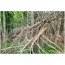 Traditional Jigsaw Puzzles